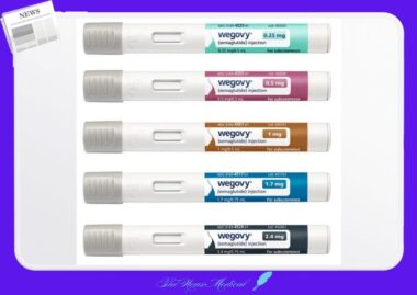 글로벌 시총 TOP 10 바이오 기업 순위