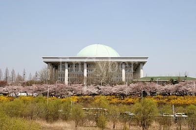 서울·경기 벚꽃 명소