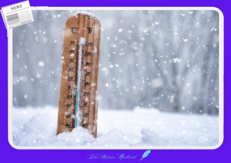 겨울온도계 눈송이 추위 기온저하 영하 일교차