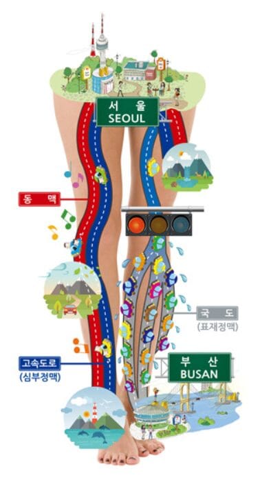 하지정맥류 고속도로 혈류