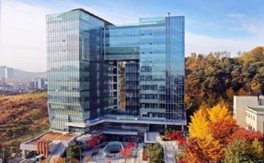 페이스 사용 금지는 확장 유추 해석