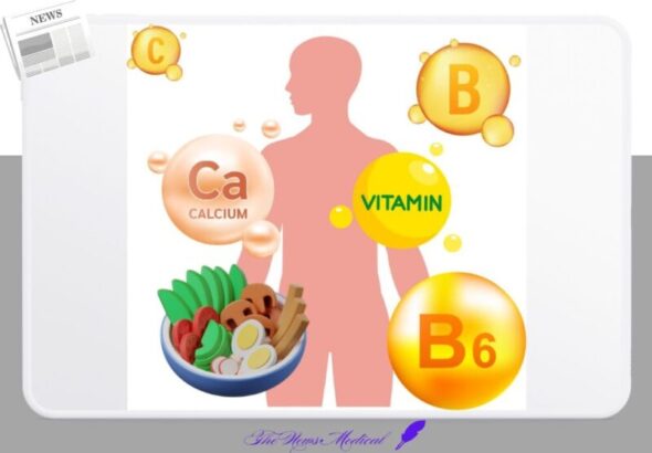 인체 채소 영양소 비타민 건강기능 식품 단백질