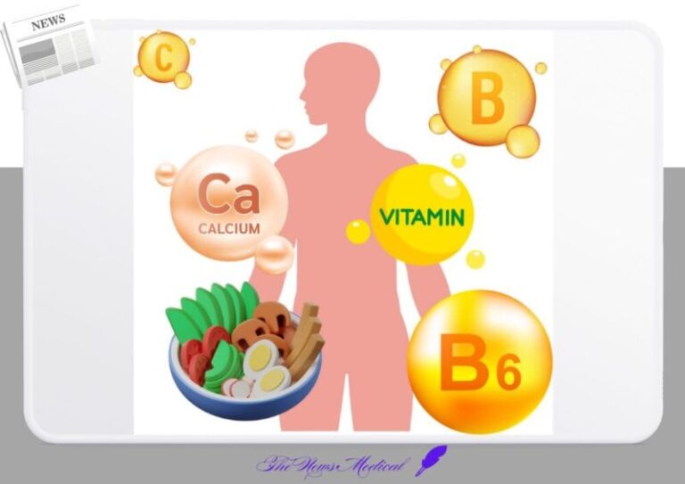인체 채소 영양소 비타민 건강기능 식품 단백질