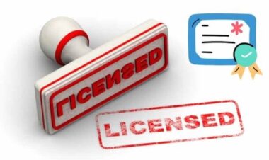 2차 의정협의체 결과