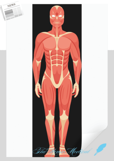 매일 굶는데 살이 안 빠진다