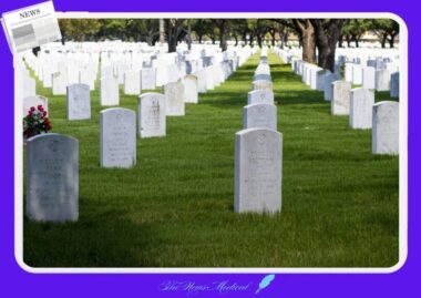 붉은 양귀비가 전쟁 희생자를 추모하는 이유