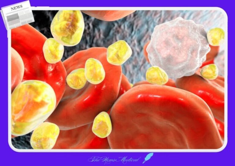 혈액 피 헤모글로빈 고지혈증 혈액 포도당 과당