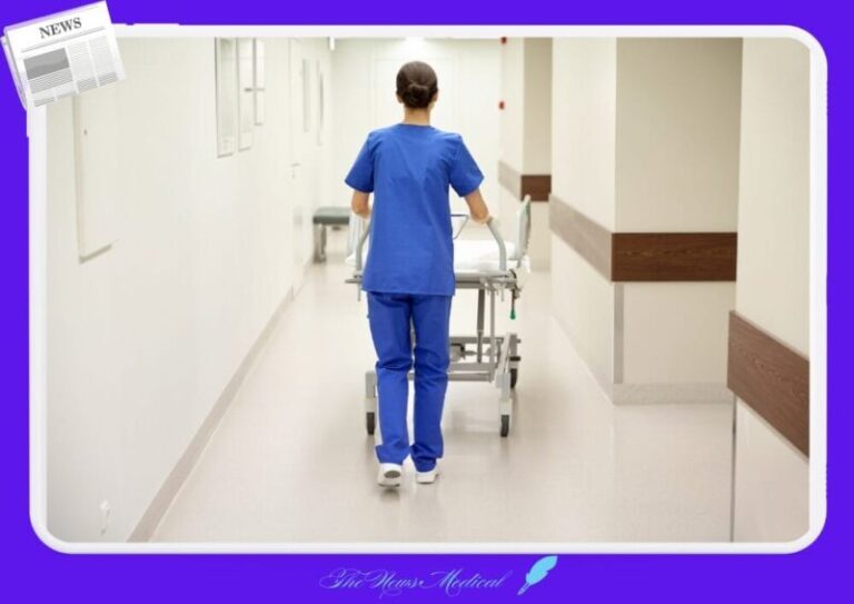 간호사 간호사 뒷모습 의료 복도