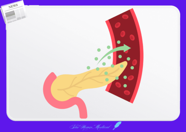 췌장 당뇨 인슐린