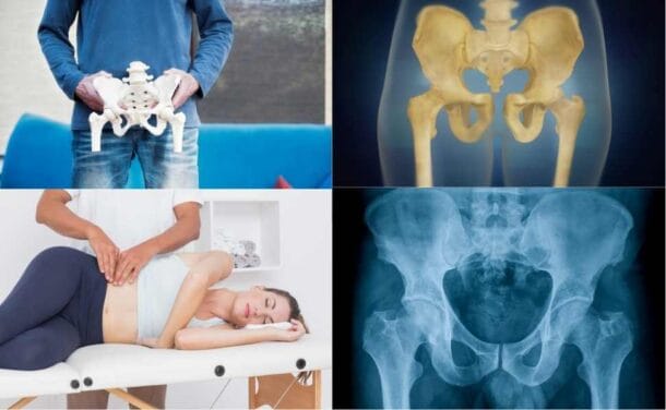 몸의 튼튼한 기둥 골반