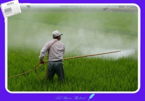 살충제 농약 농업 논