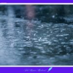 빗방울 비 장마