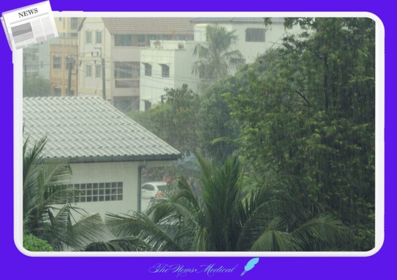 비 오는 날 파전