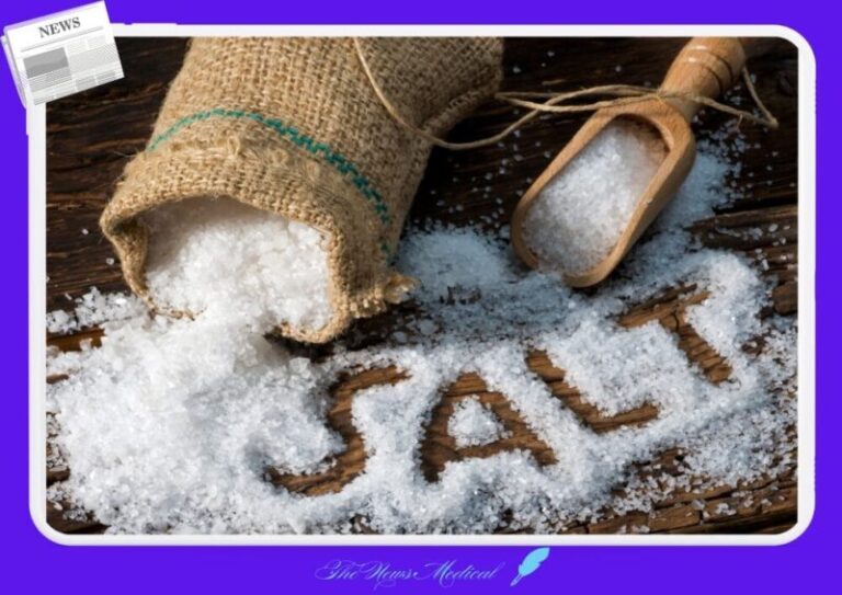 소금 염분 나트륨