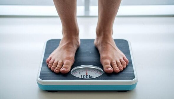 저울 비만 몸무게(앤씨) 체중 다이어트