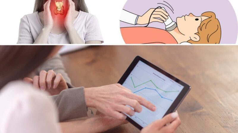 갑상선 초음파,