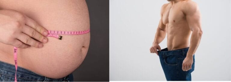 다이어트 내장비만 비포에프터 비만