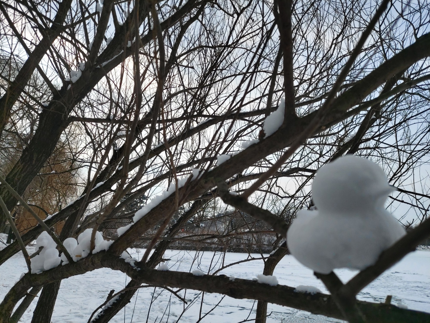 단풍이 물드는 이유