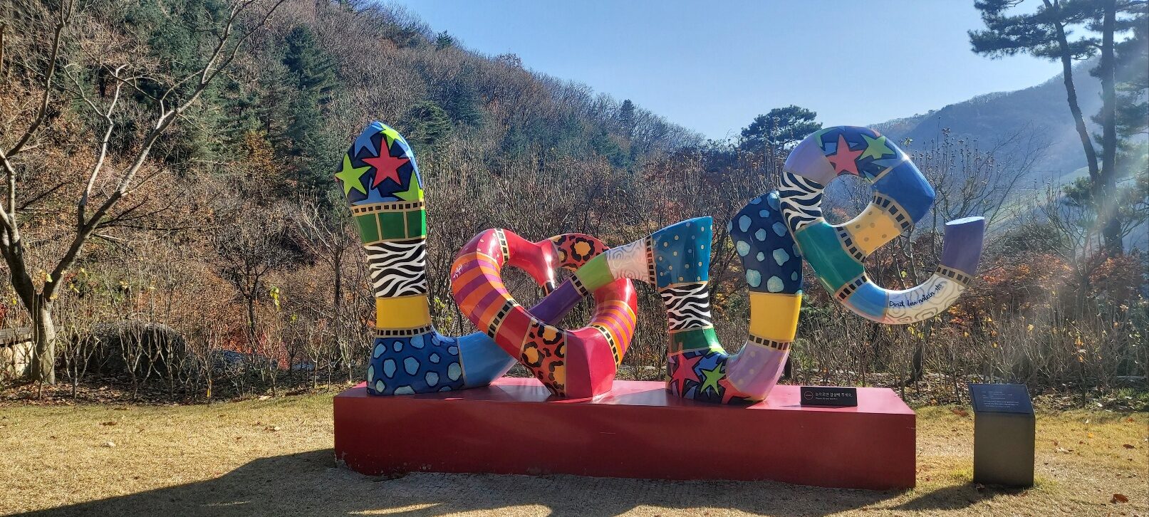 사랑과 슬픔이 공존하는 진달래