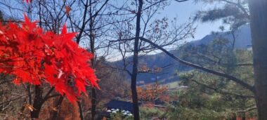 붉게 물든 산하