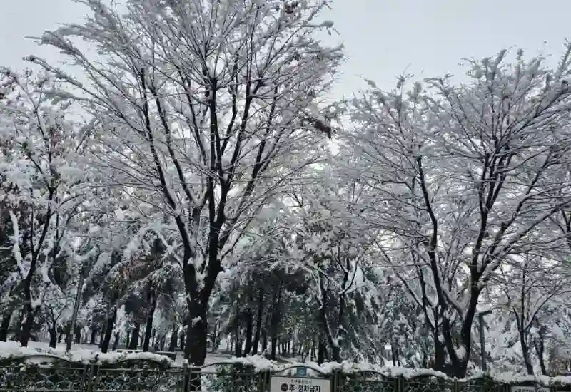 겨울철 추운 날씨엔 모자를 쓰세요