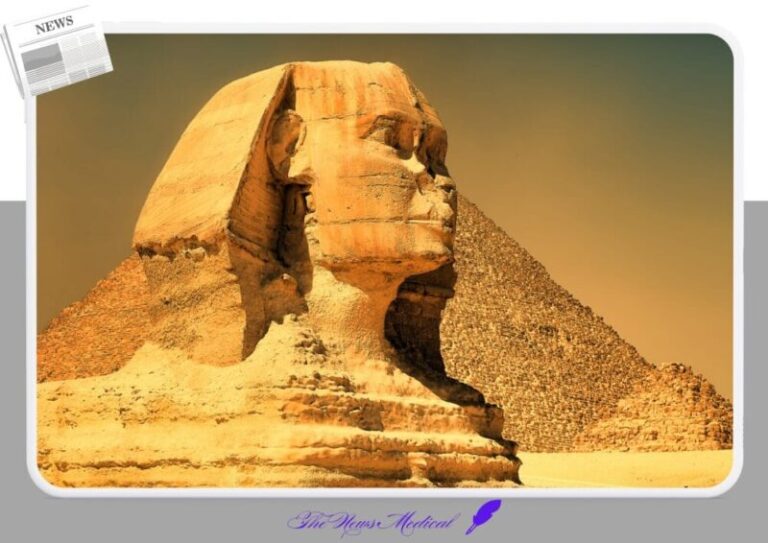 고대 이집트 스핑크스 피라미드 유적지 관광 아프리카 사막 나폴레옹