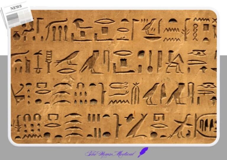고대문자 이집트 상형문자 언어 소통