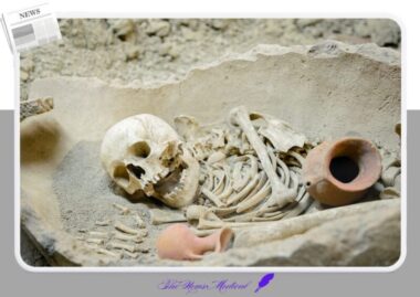 고대 이집트 미라 암 수술 흔적