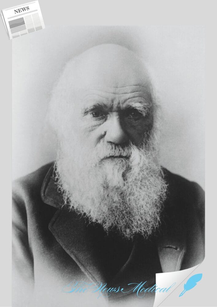 네안데르탈인에 대한 오해와 진실