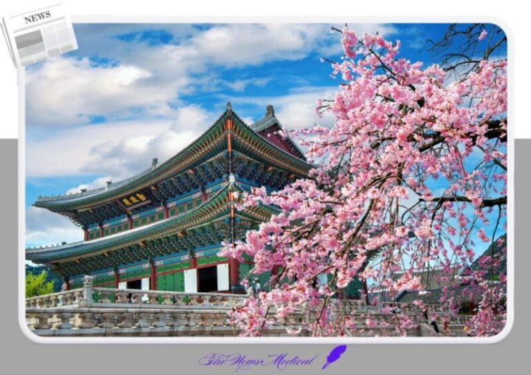 벚꽃 일본 사쿠라 경복궁 궁궐 flower 야생화 꽃화 분홍꽃 궁전