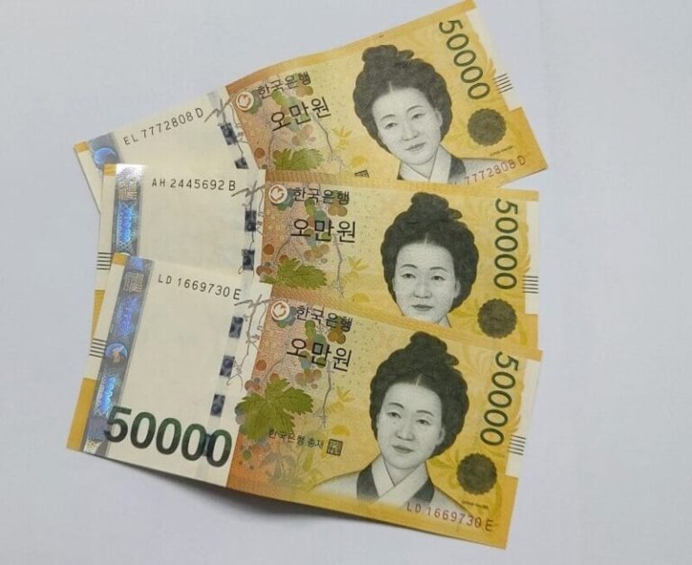 화폐 재정 money 비용 수익 임금 지출 오만원