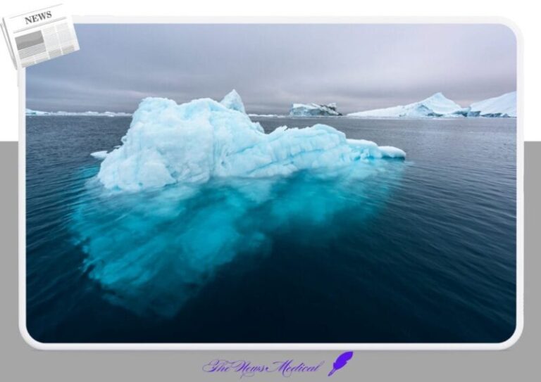 빙하 얼음 빙산 바다 북극 남극 유빙 극지방 설원 눈밭 만년설