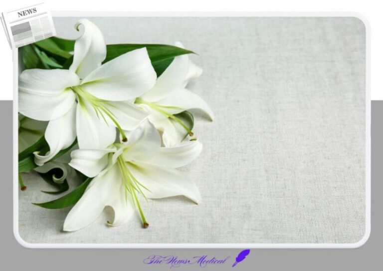 백합 꽃 flower 야생화 꽃화 흰꽃