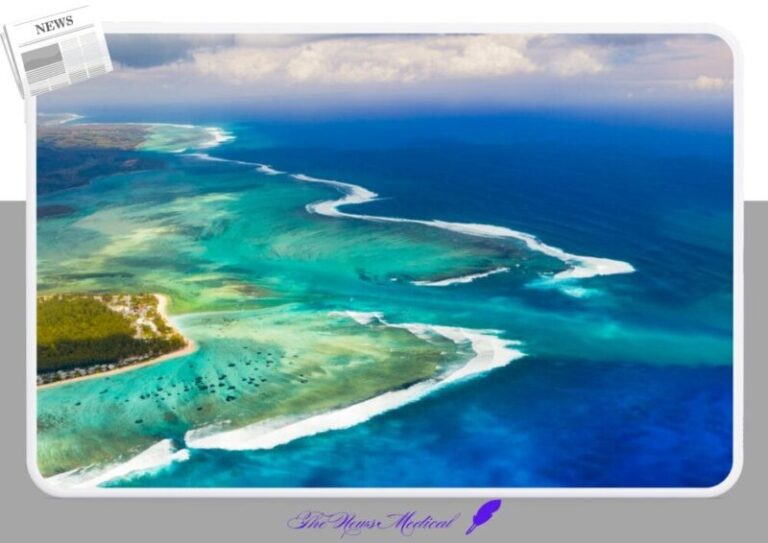 모리셔스 수중폭포 바다 해변 관광 여행 푸른바다 대양