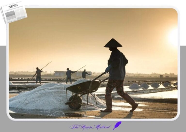 소금 염전 나트륨 근로 석양