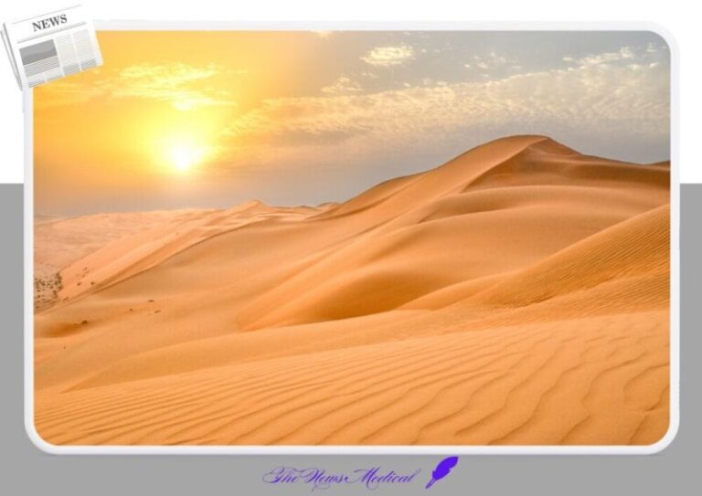 모래사막 건조 여행 관광 태양 일교차 오아시스