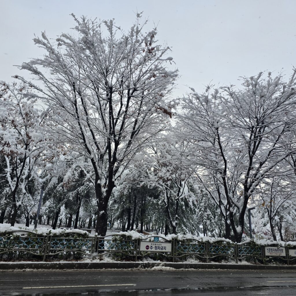 지구 대기를 오염시키는 소방귀