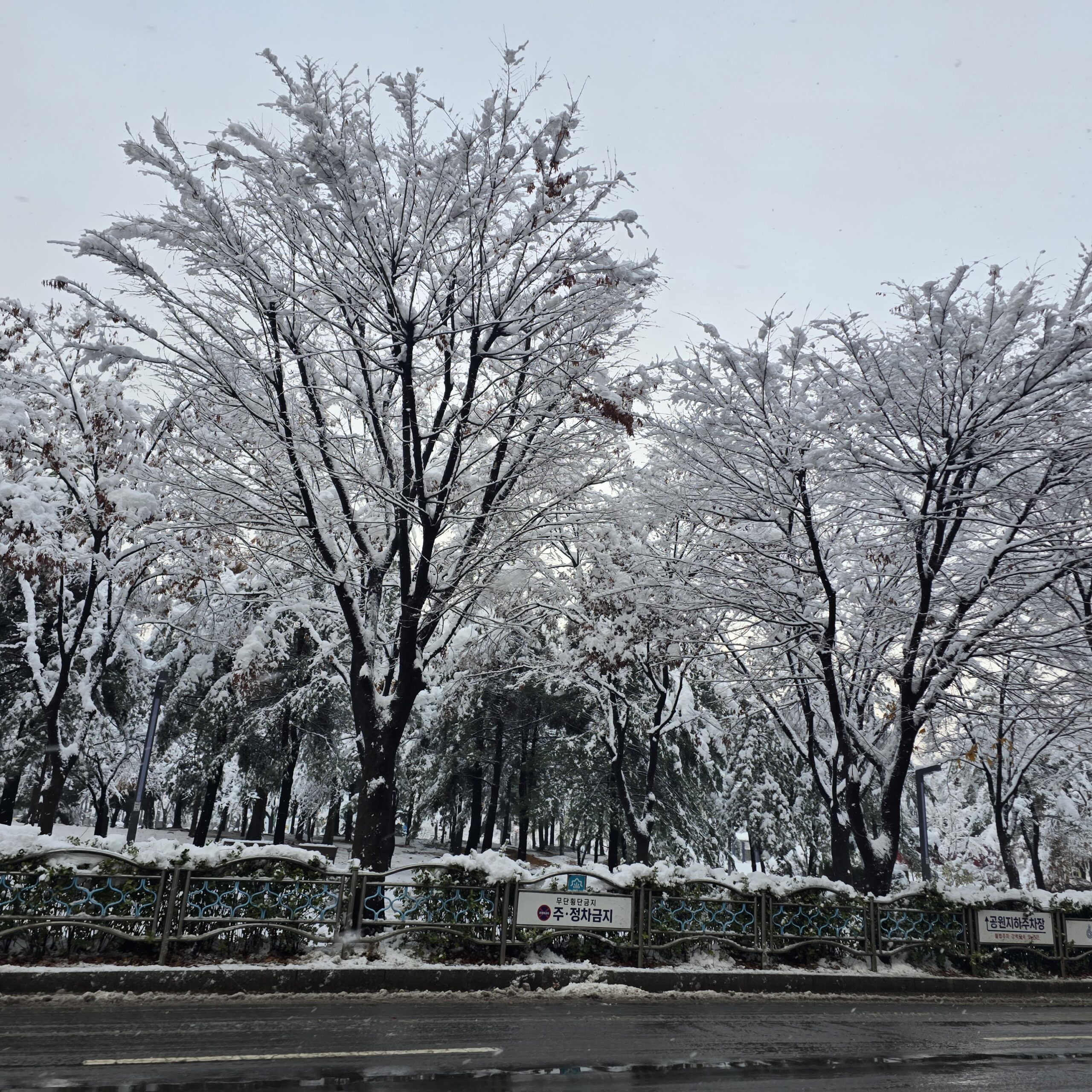 겨울철 추운 날씨엔 모자를 쓰세요