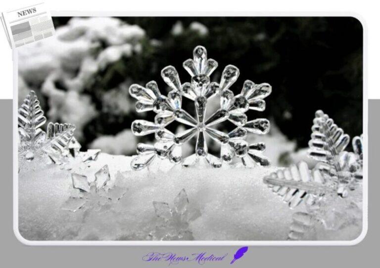 눈꽃 눈송이 겨울 얼음 추위 얼음결정