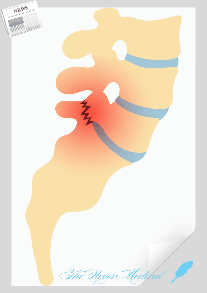 인간에게 꼬리가 없는 진짜 이유
