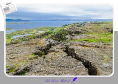 당신의 생존 전략 지진광