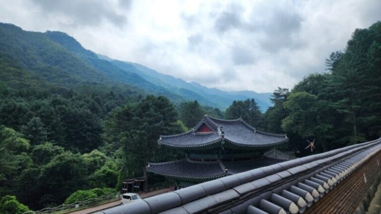 산사, 사찰 흐림 건물 산중 숲속 고유 명상