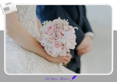 2025년 11월 인구동향