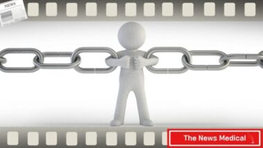 상속포기 vs 한정승인