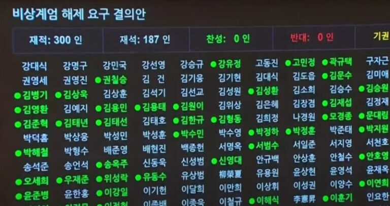 비상계엄 국회 표결