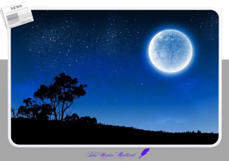 moon 달님 보름달 달덩이 둥근달 달밤 하늘금 별밤