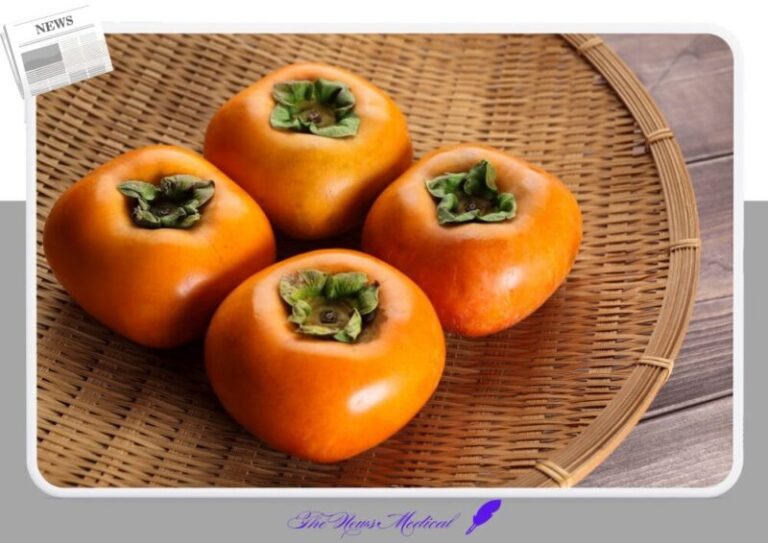 감나무 과일 타닌 열매