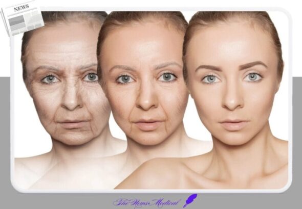 노화, 늙음 젊음 과정