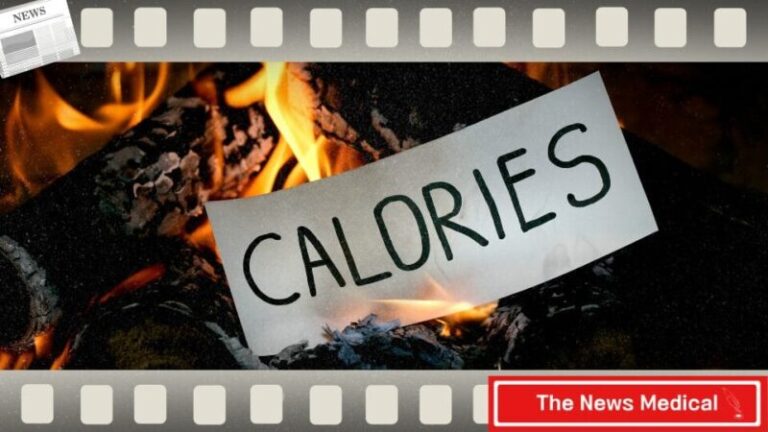 칼로리 태우기 비만 다이어트 몸무게 운동