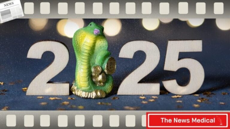 을사년 2025 푸른뱀 초록뱀 을사